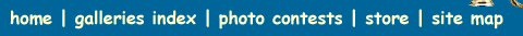 top menu bar